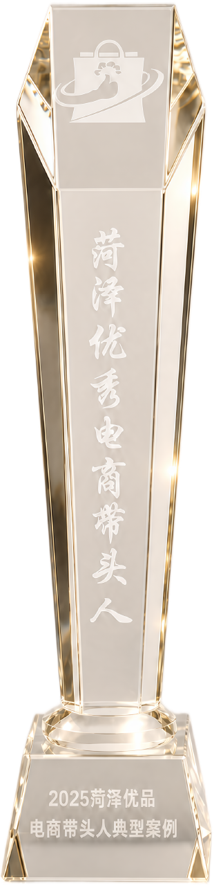 菏泽市电商带头人奖杯